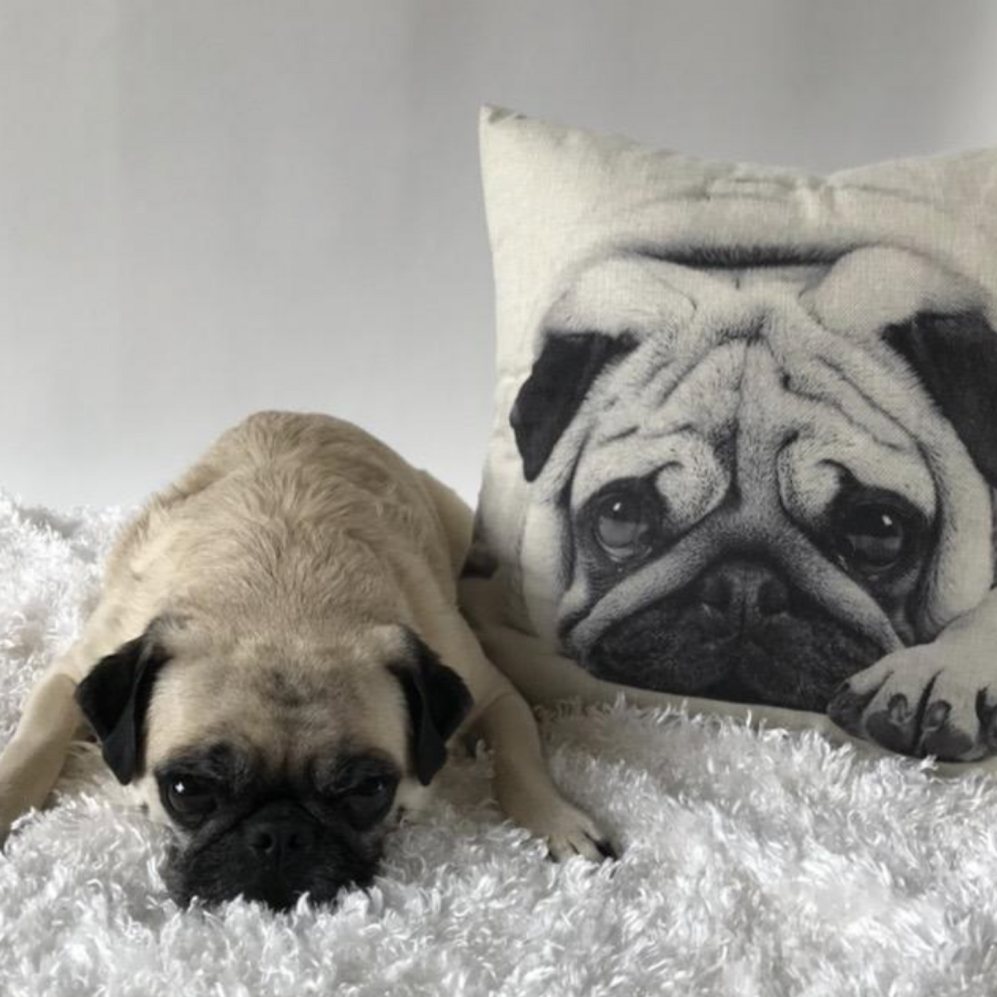 Pug Puppy Cute Sad Face Throw Pillow Cover