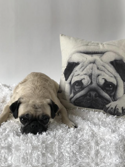 Pug Puppy Cute Sad Face Throw Pillow Cover