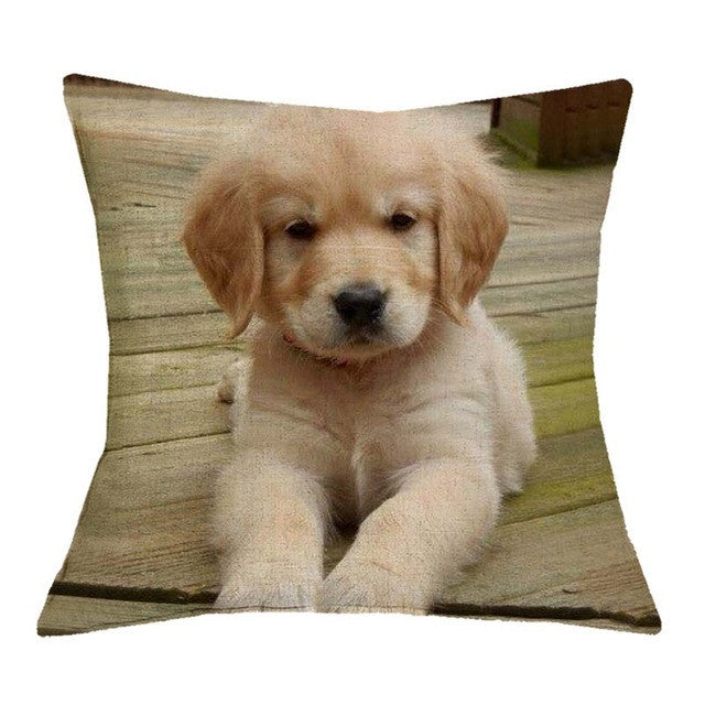 Golden Retriever Pillow Covers