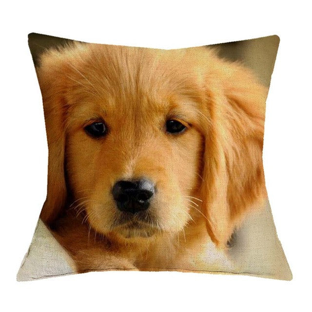 Golden Retriever Puppy Pillow Covers