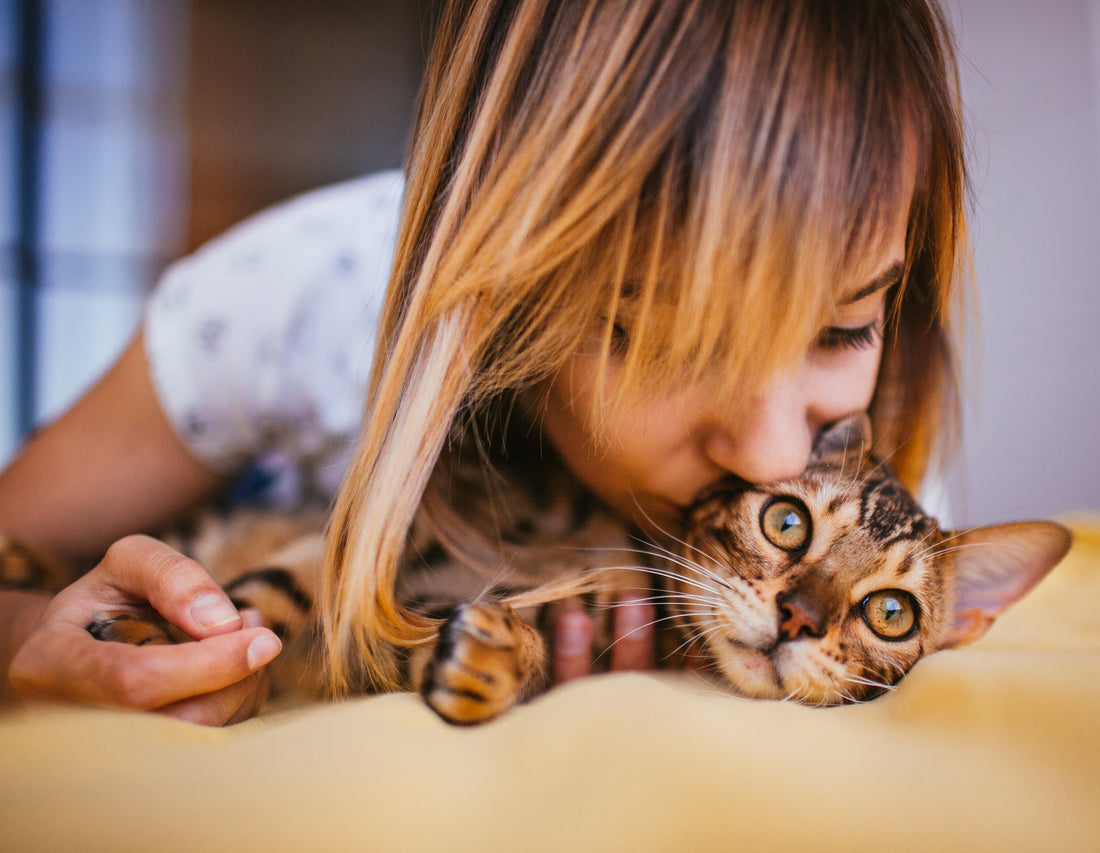 Why does my cat lick me?