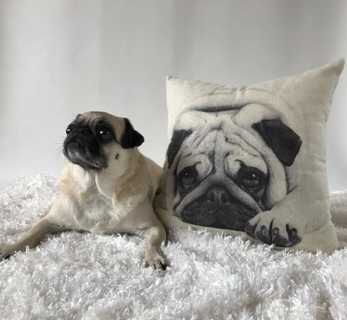 Pug Puppy Cute Sad Face Throw Pillow Cover