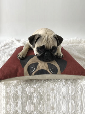 Pug - Red Pillow Cover