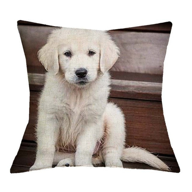 Golden Retriever Puppy Pillow Covers