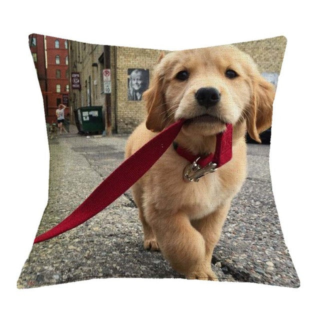 Golden Retriever Red Leash In the City Pillow Cases
