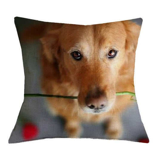 Golden Retriever Pillow Covers